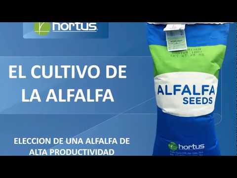 Semilla de alfalfa San Miguelito: calidad y variedad para tu cultivo