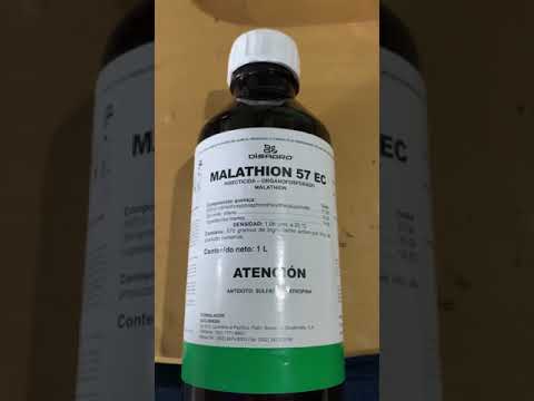 Malathion 1000 e 950 ml: El mejor insecticida para tu jardín